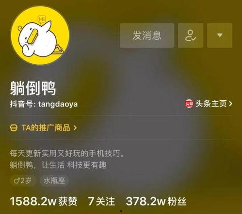 抖音爆料视频歌词怎么弄,流行旋律背后的故事  第2张